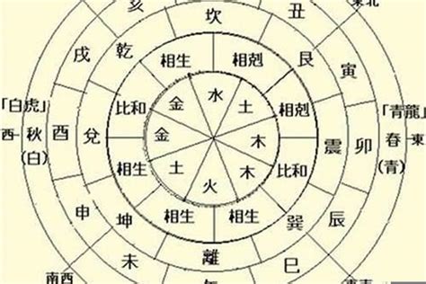 八字地支相沖|八字地支相沖到底對人有啥影響？